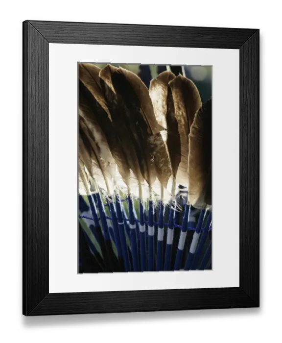 Framed Print : Santa Fe, New Mexico, United States. Native American eagle feather ceremonial headdress