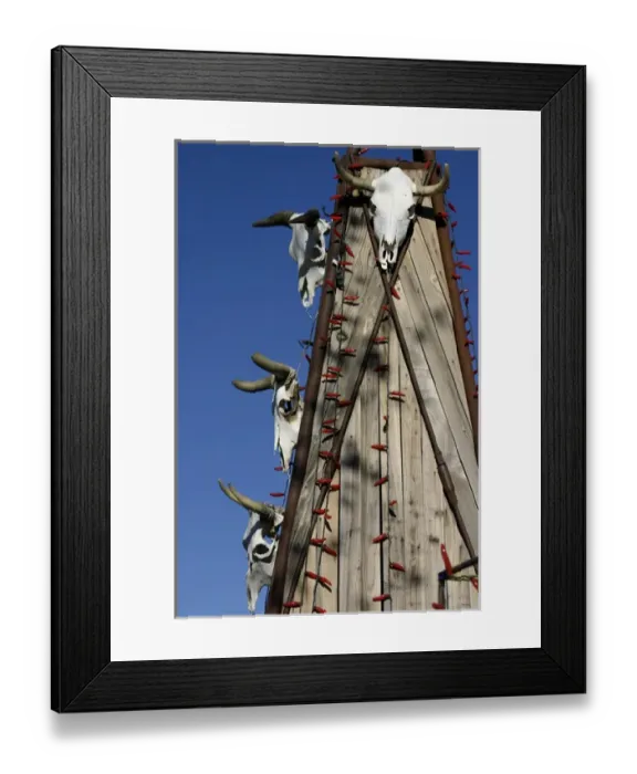 Framed Print : Santa Fe, New Mexico, United States. Cowskulls and chile Christmas lights Framed Print : Santa Fe, New Mexico, United States. Cowskulls and chile Christmas lights