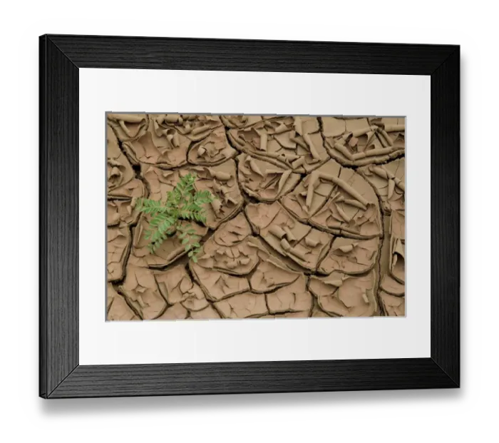 Framed Print : Abiquiu, New Mexico, United States. Dried clay during drought season