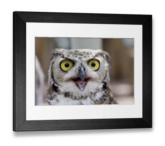 Framed Print : Santa Fe, New Mexico, United States