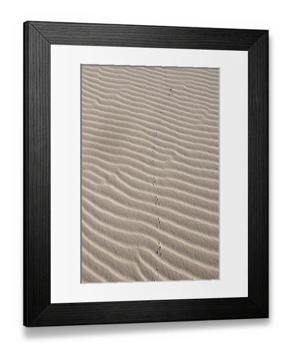 Framed Print : Landscape of glistening white gypsum sand dunes of White Sands National Monument