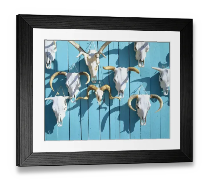 Framed Print : USA, New Mexico, Taos, Animal skulls for sale