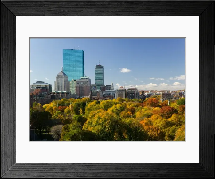 Framed Print : USA-Massachusetts-Boston: Office Buildings of the Back Bay and Boston Common  /  Autumn