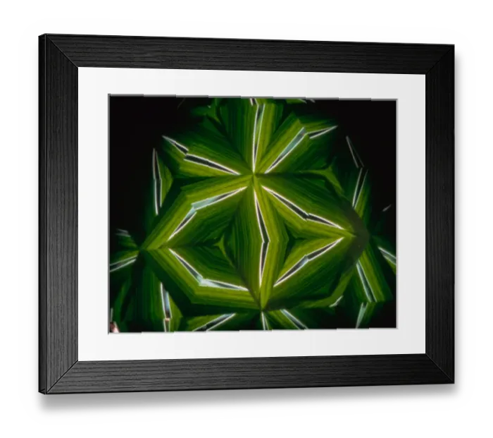 Framed Print : USA, New York, Slingerlands. A kaleidoscope turns iris leaves into abstract art. Credit as