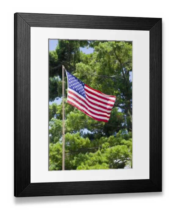Framed Print : USA, New York, St. Lawrence River. American flag on a flagpole waves against large tree Framed Print : USA, New York, St. Lawrence River. American flag on a flagpole waves against large tree
