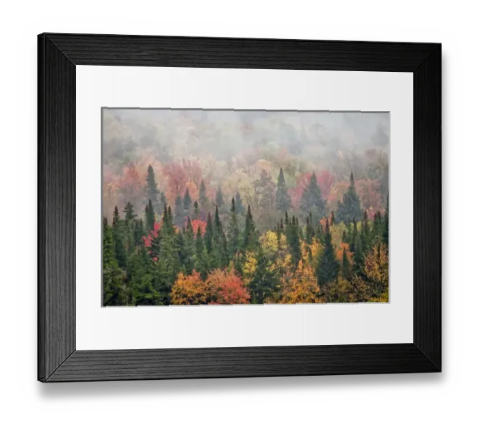 Framed Print : USA, New York, Adirondacks State Park. Credit as: Jay O Brien / Jaynes Gallery Framed Print : USA, New York, Adirondacks State Park. Credit as: Jay O Brien / Jaynes Gallery