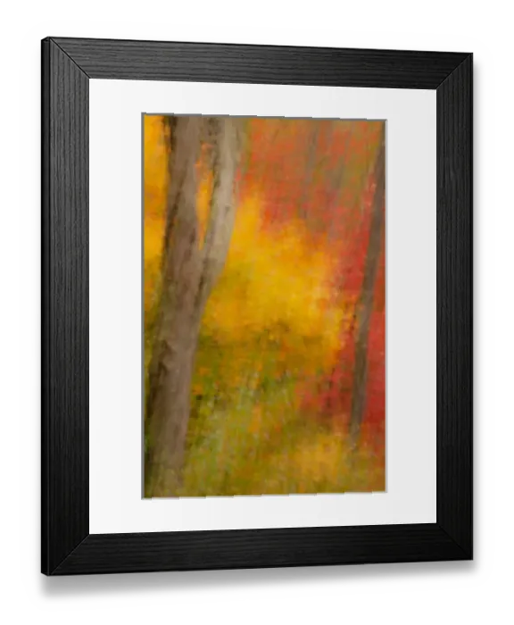 Framed Print : USA, New York, Inlet. Abstract of autumn forest scene. Credit as: Jay O Brien