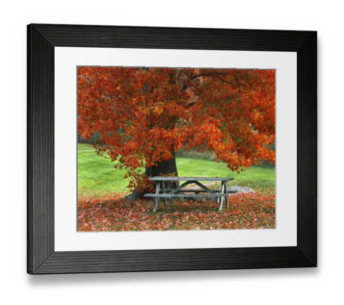 Framed Print : USA, New York, West Park. Bench under maple in autumn. Credit as: Steve Terrill  / 