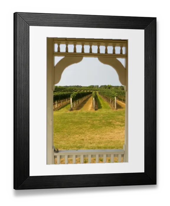 Framed Print : USA, New York, The Hamptons, Farmlands and flower fields