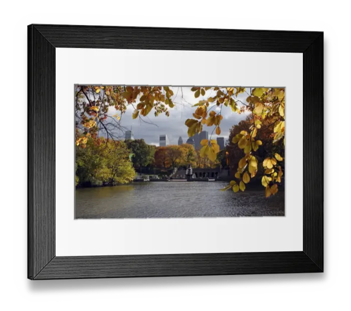 Framed Print : In New York City. Central Park Framed Print : In New York City. Central Park