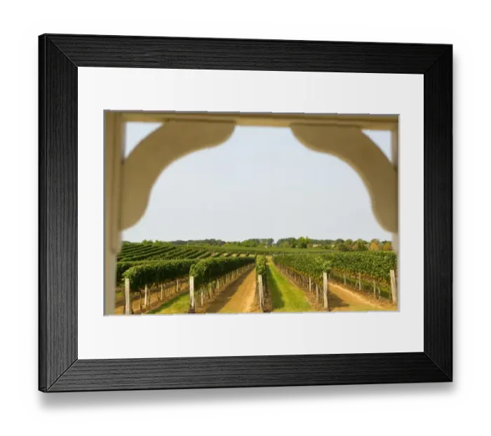 Framed Print : USA, New York, The Hamptons, Farmlands and flower fields Framed Print : USA, New York, The Hamptons, Farmlands and flower fields
