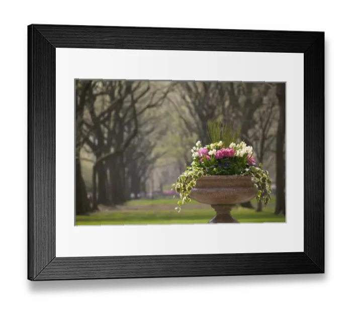 Framed Print : USA-New York-New York City-Manhattan: Central Park-Detail of The Mall  /  Springtime