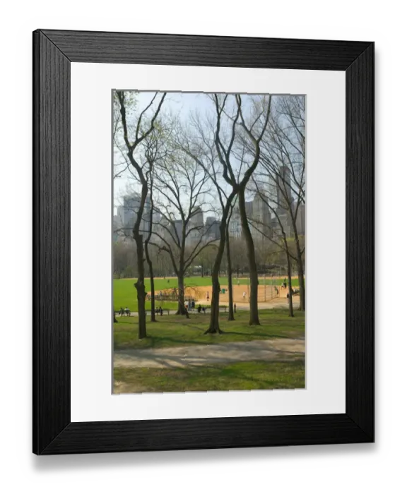 Framed Print : USA-New York-New York City-Manhattan: Central Park-Heckscher Ballfields & Central