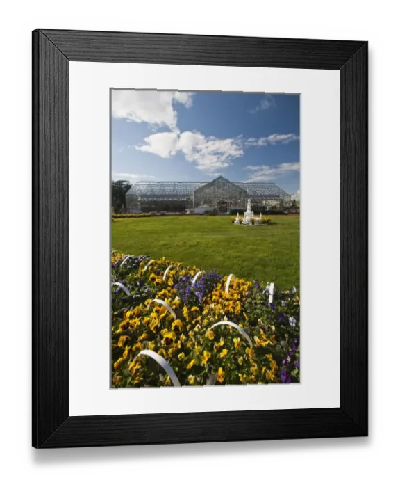 Framed Print : USA, New York, Jamesport. Spring flowers at a plant shop
