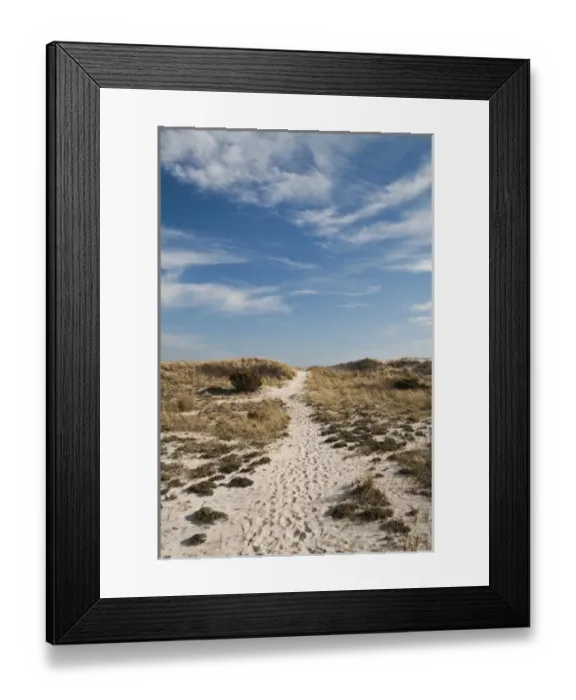 Framed Print : USA, New York, Robert Moses State Park (Long Island). Dunes Framed Print : USA, New York, Robert Moses State Park (Long Island). Dunes