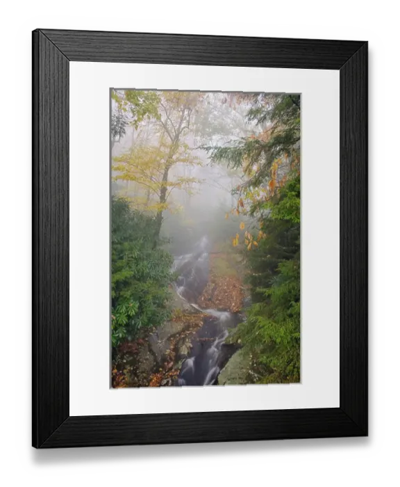 Framed Print : Wet weather waterfall in foggy forest; Pisgah National Forest; North Carolina Framed Print : Wet weather waterfall in foggy forest; Pisgah National Forest; North Carolina