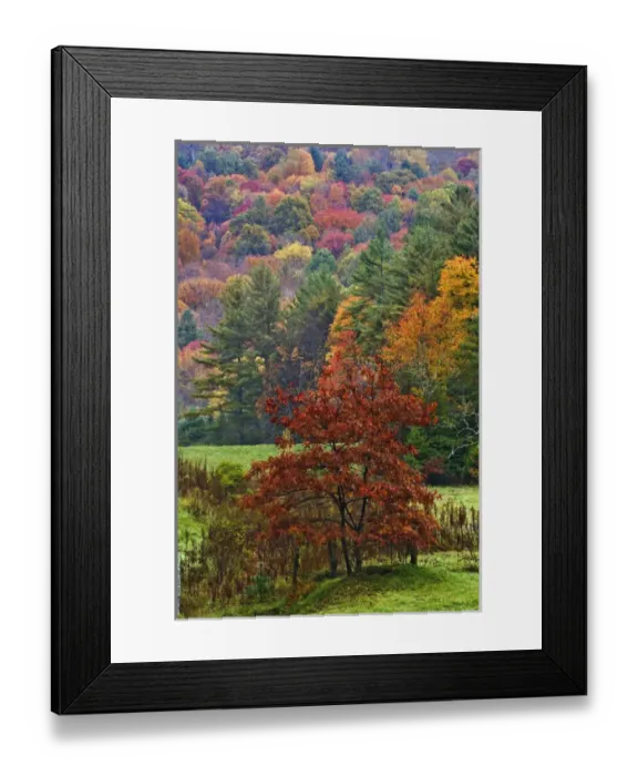 Framed Print : Fall colors in the southern Appalachian Mountains near Grandfather Mountain, North