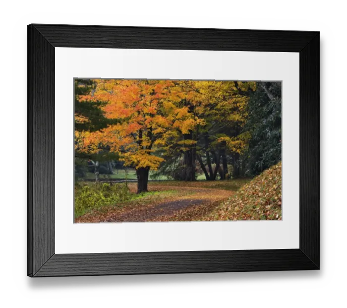 Framed Print : Walking trail around Bass Lake in autumn, near Blowing Rock, North Carolina Framed Print : Walking trail around Bass Lake in autumn, near Blowing Rock, North Carolina