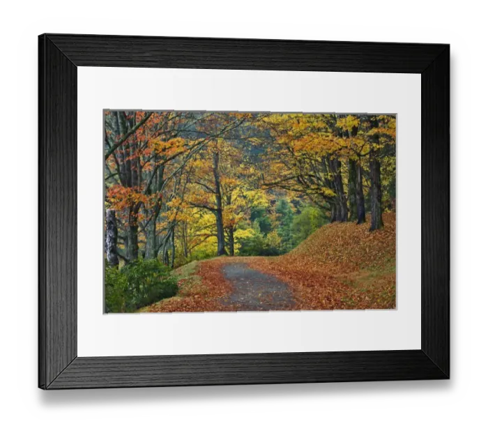 Framed Print : Walking trail around Bass Lake in autumn, near Blowing Rock, North Carolina