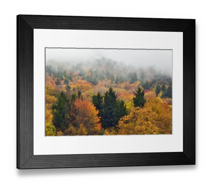 Framed Print : Fall colors in the southern Appalachian Mountains near Grandfather Mountain, North Framed Print : Fall colors in the southern Appalachian Mountains near Grandfather Mountain, North
