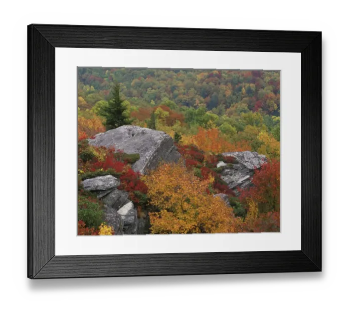 Framed Print : Rocky outcropping and autumn colors, Blue Ridge Parkway, North Carolina Framed Print : Rocky outcropping and autumn colors, Blue Ridge Parkway, North Carolina