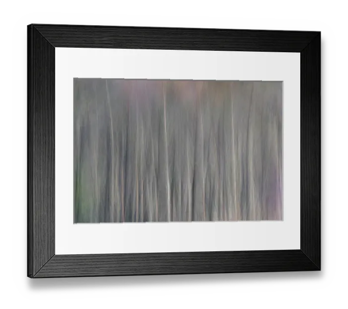 Framed Print : Abstract tree pattern, Great Smoky Mountains National Park, North Carolina
