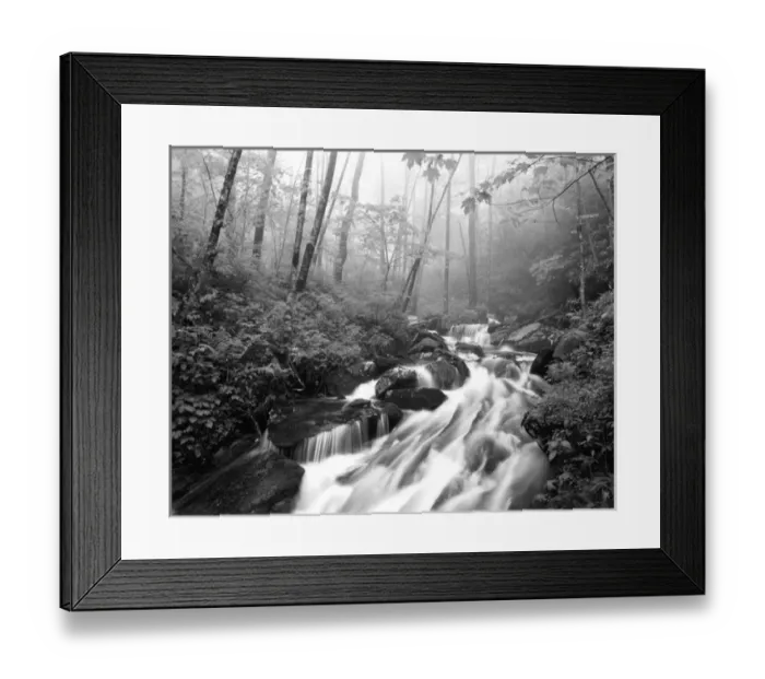 Framed Print : USA, North Carolina, Pisgah National Forest, View of Cove creek covered with fog Framed Print : USA, North Carolina, Pisgah National Forest, View of Cove creek covered with fog