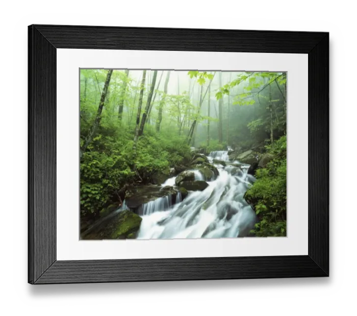 Framed Print : USA, North Carolina, Pisgah National Forest, View of Cove creek covered with fog Framed Print : USA, North Carolina, Pisgah National Forest, View of Cove creek covered with fog
