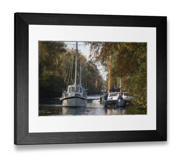 Framed Print : Boating on the Dismal Swamp Canal, Camden County, North Carolina