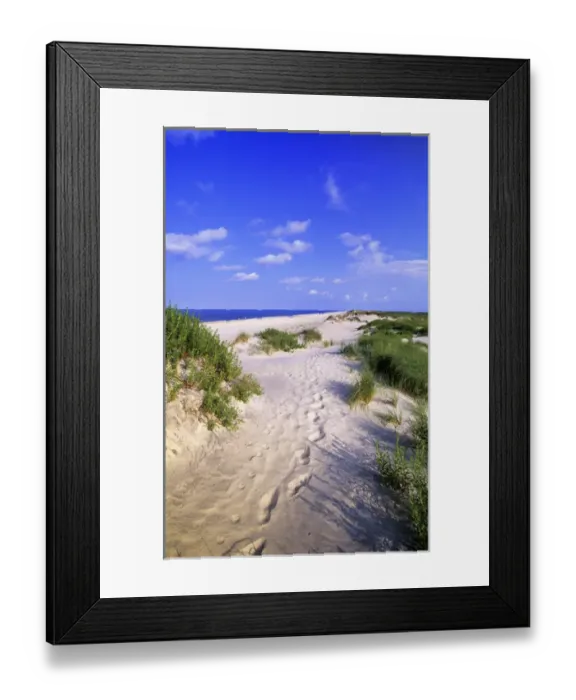 Framed Print : Pea Island beach, Outer Banks, North Carolina, USA
