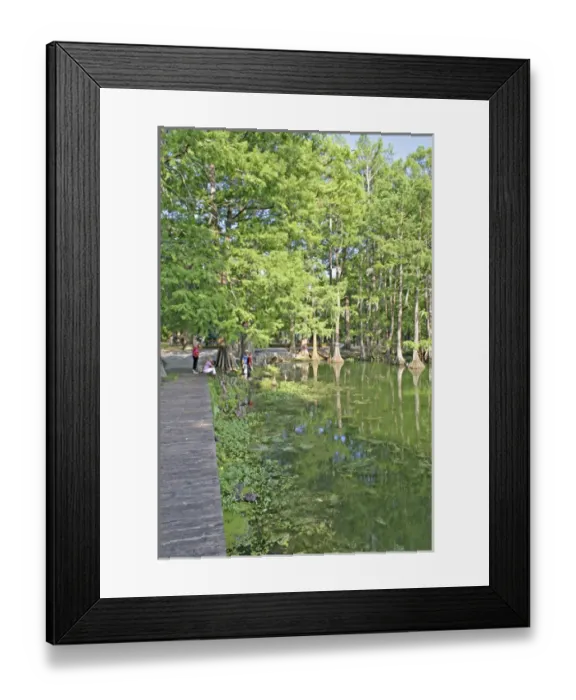 Framed Print : Mixed ethnic children Greenfield Lake, Wilmington, North Carolina Framed Print : Mixed ethnic children Greenfield Lake, Wilmington, North Carolina