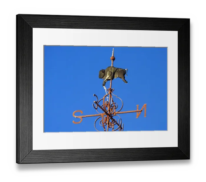 Framed Print : Buffalo Wind Vane at Ft Union in North Dakota Framed Print : Buffalo Wind Vane at Ft Union in North Dakota