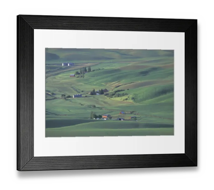 Framed Print : N. A. USA, Washington, Palouse farming region, near Colfax Contour farming Framed Print : N. A. USA, Washington, Palouse farming region, near Colfax Contour farming