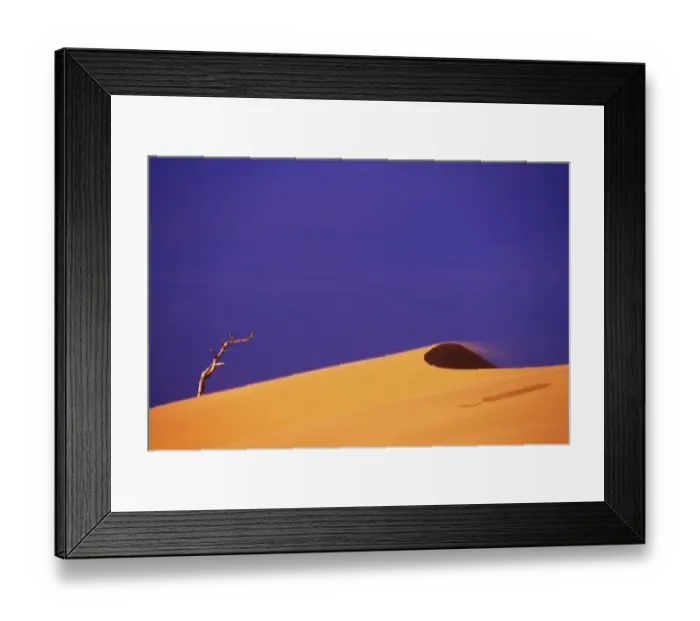 Framed Print : Oregon Dunes National Recreation Area, Oregon Framed Print : Oregon Dunes National Recreation Area, Oregon