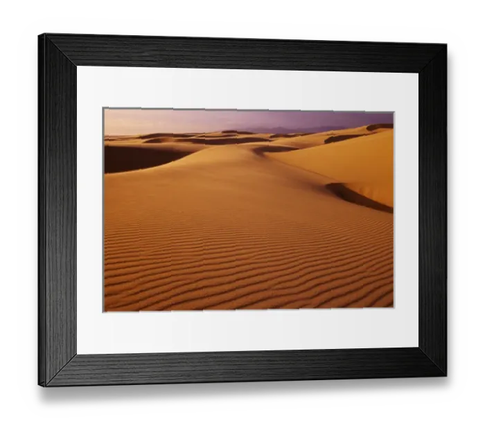 Framed Print : Oregon Dunes National Recreation Area, Oregon at sunset Oregon Dunes National Recreation Area Framed Print : Oregon Dunes National Recreation Area, Oregon at sunset Oregon Dunes National Recreation Area