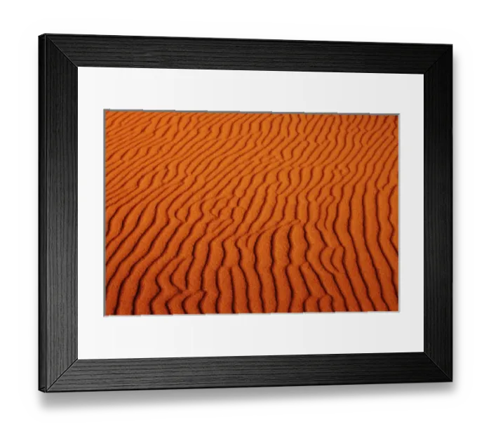 Framed Print : Erosion pattern in sand dune, Oregon Dunes National Recreation Area, OR Framed Print : Erosion pattern in sand dune, Oregon Dunes National Recreation Area, OR