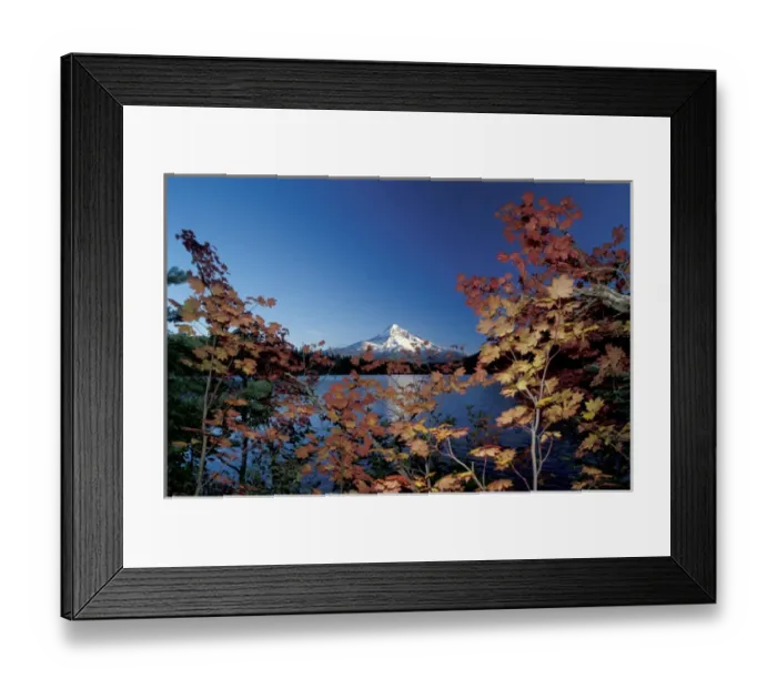 Framed Print : USA, Oregon, Mount Hood from Lost Lake, fall leaves Framed Print : USA, Oregon, Mount Hood from Lost Lake, fall leaves