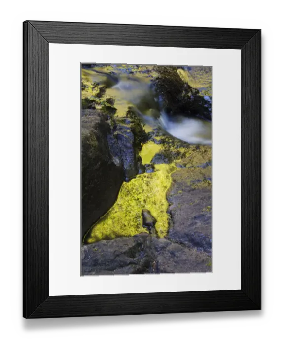 Framed Print : USA, Oregon. Summer reflections in Sweet Creek water. Credit as: Nancy Rotenberg Framed Print : USA, Oregon. Summer reflections in Sweet Creek water. Credit as: Nancy Rotenberg