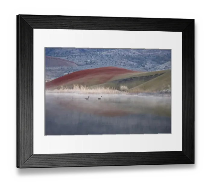 Framed Print : USA, Oregon, John Day Fossil Beds National Monument, Painted Hills. Geese swim in