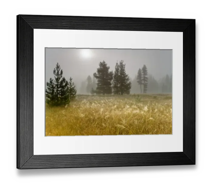 Framed Print : USA, Oregon, Mount Hood National Forest. Sunlight on foggy meadow. Credit as: Don Framed Print : USA, Oregon, Mount Hood National Forest. Sunlight on foggy meadow. Credit as: Don