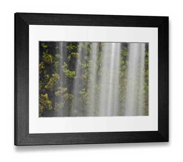 Framed Print : USA, Oregon, Willamette National Forest. Detail of Koosah Falls and maidenhair ferns Framed Print : USA, Oregon, Willamette National Forest. Detail of Koosah Falls and maidenhair ferns