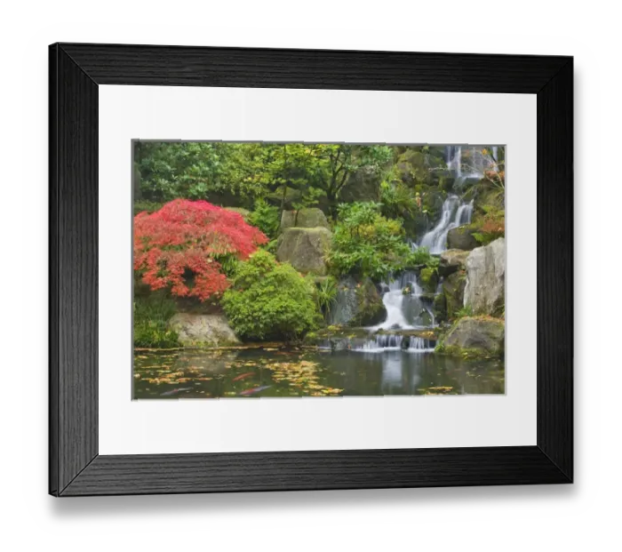 Framed Print : USA, Oregon, Portland. Waterfall flows into koi pond at Portland Japanese Garden Framed Print : USA, Oregon, Portland. Waterfall flows into koi pond at Portland Japanese Garden