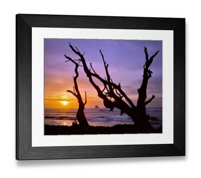 Framed Print : USA, Oregon, Cape Meares. Sunset framed by driftwood. Credit as: Steve Terrill / Framed Print : USA, Oregon, Cape Meares. Sunset framed by driftwood. Credit as: Steve Terrill /