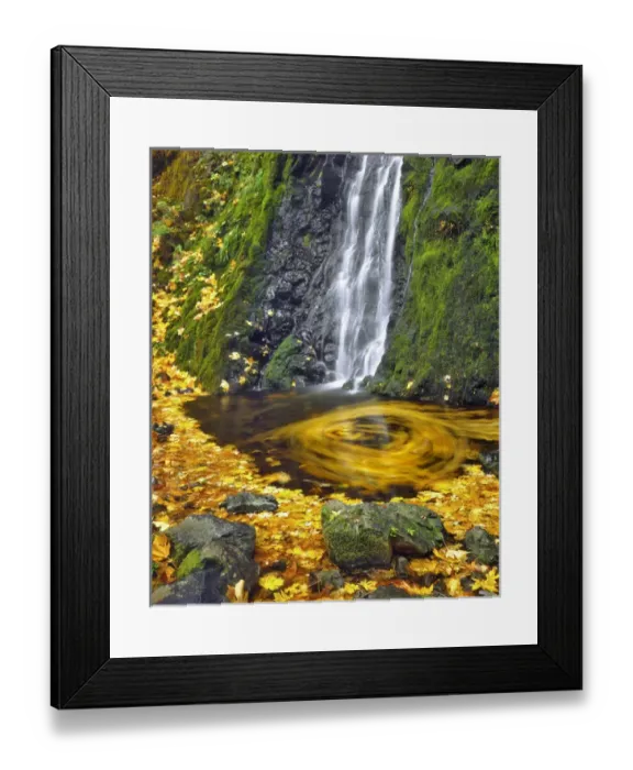 Framed Print : USA, Oregon, Columbia River Gorge National Scenic Area. Starvation Creek waterfall Framed Print : USA, Oregon, Columbia River Gorge National Scenic Area. Starvation Creek waterfall