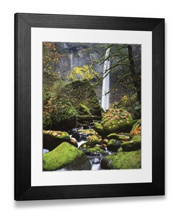 Framed Print : USA, Oregon, Columbia River Gorge, John B. Yeon State Park, Elowah Falls Framed Print : USA, Oregon, Columbia River Gorge, John B. Yeon State Park, Elowah Falls