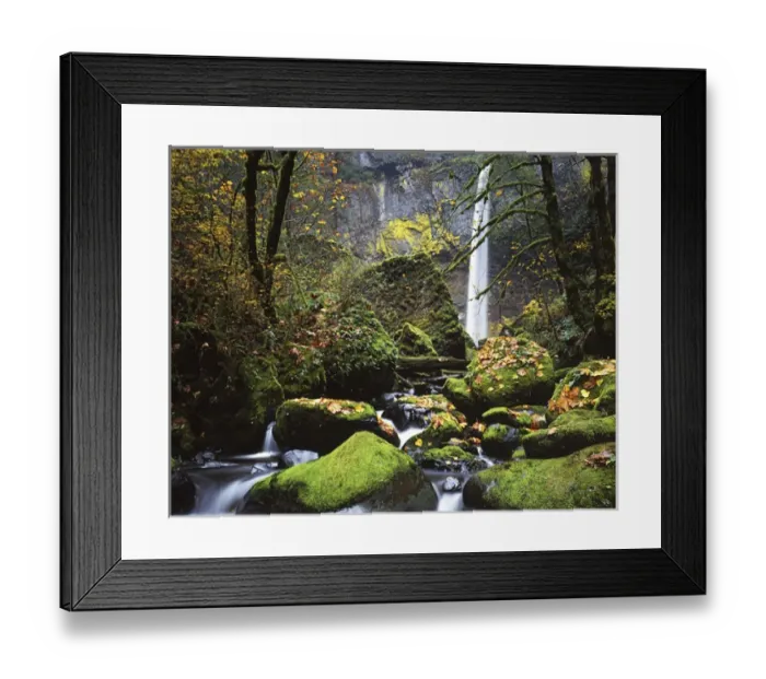 Framed Print : USA, Oregon, Columbia River Gorge, John B. Yeon State Park, Elowah Falls