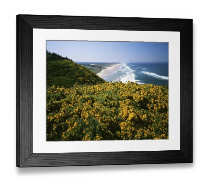 Framed Print : USA, Oregon, Pacific Coast, Lane County