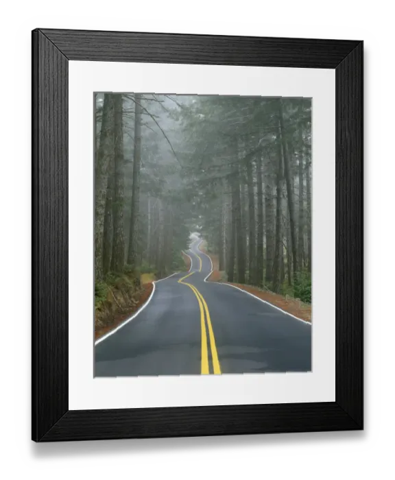 Framed Print : USA, Oregon, Sisiyou National Forest Framed Print : USA, Oregon, Sisiyou National Forest