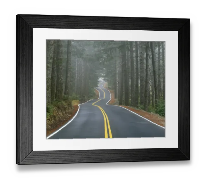 Framed Print : USA, Oregon, Sisiyou National Forest Framed Print : USA, Oregon, Sisiyou National Forest