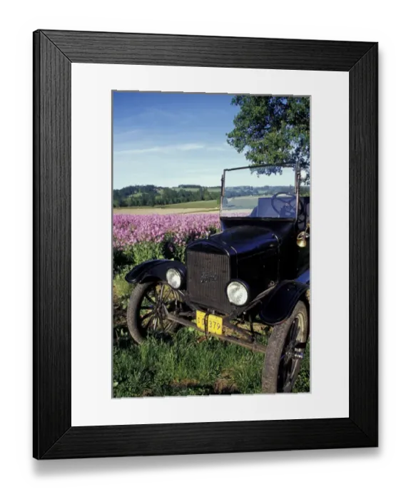 Framed Print : NA, USA, Oregon, near Silverton Model-T Ford in field with dames rocket PR Framed Print : NA, USA, Oregon, near Silverton Model-T Ford in field with dames rocket PR